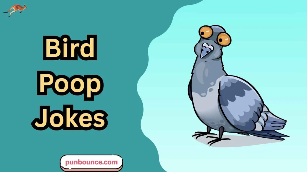 Bird Poop Jokes