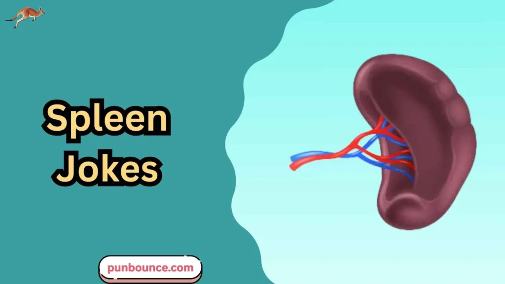 Spleen Jokes