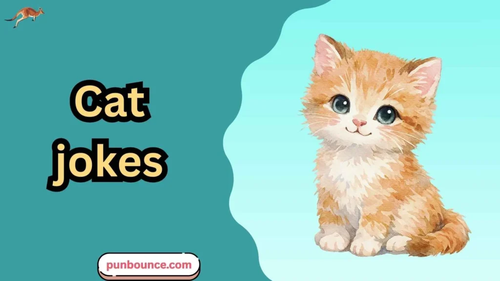 cat jokes