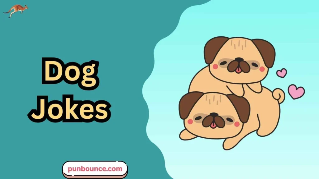 Dog Jokes