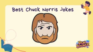 Best Chuck Norris Jokes
