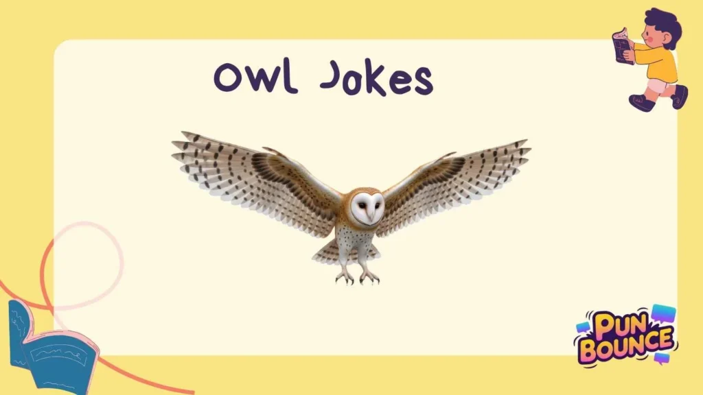 Owl Jokes