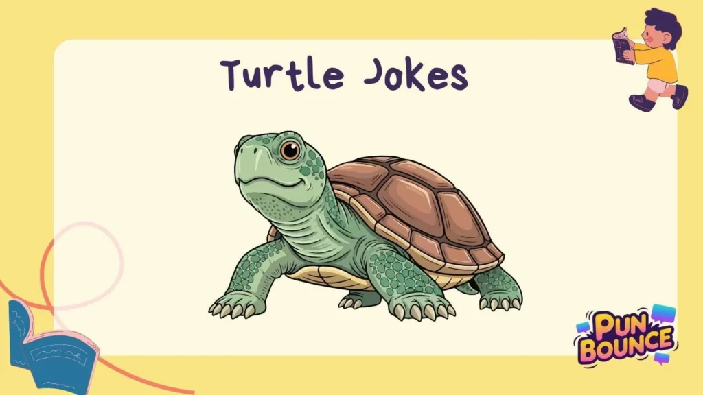 Turtle Jokes