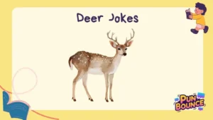 Deer Jokes