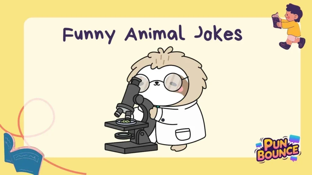Funny Animal Jokes