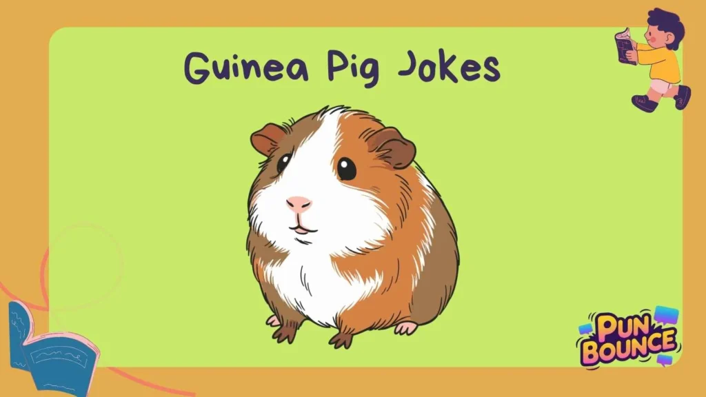 Guinea Pig Jokes
