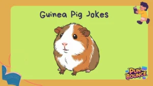Guinea Pig Jokes