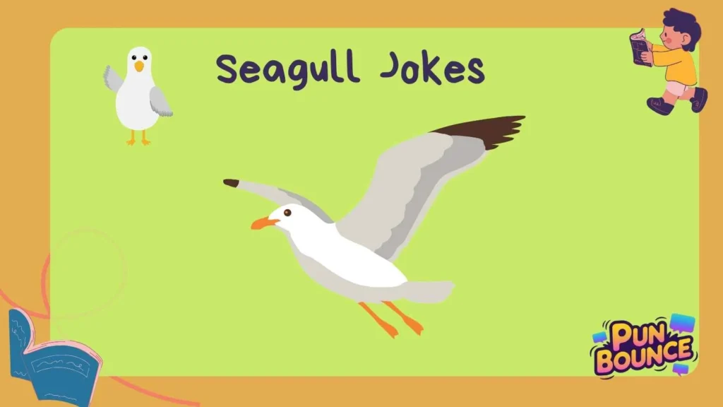 Seagull Jokes