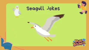 Seagull Jokes